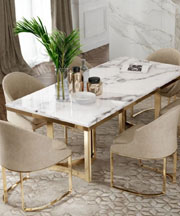 SS luxury furniture dining set