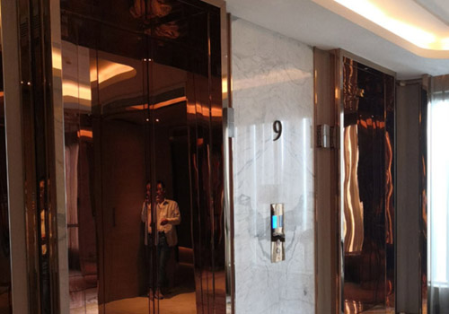 ss elevator door application