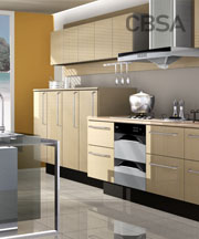 color SS kitchen cabinet Designs