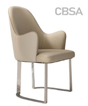 Luxury 304 SS Dining Chair