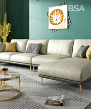 SS Luxury Fashion Sofa Set