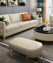 Luxury SS Sofa Set