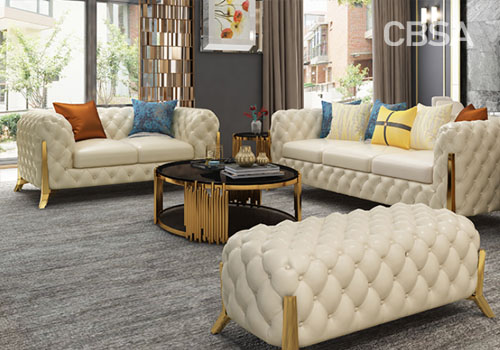 SS luxury furniture sofa set