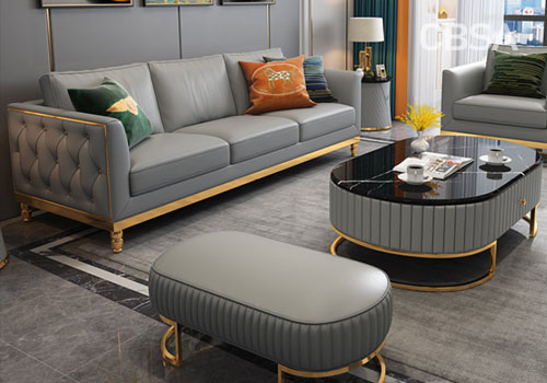 luxury SS sofa set